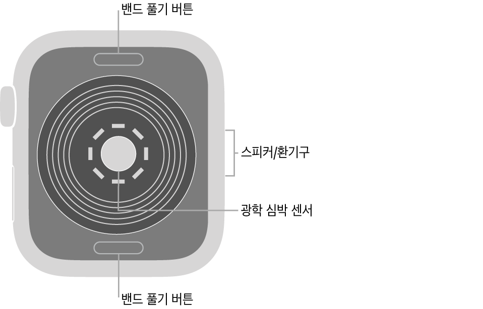 상단과 하단의 밴드 풀기 버튼, 중앙의 광학 심장 센서, 측면의 스피커/환기구가 보이는 Apple Watch SE의 후면.