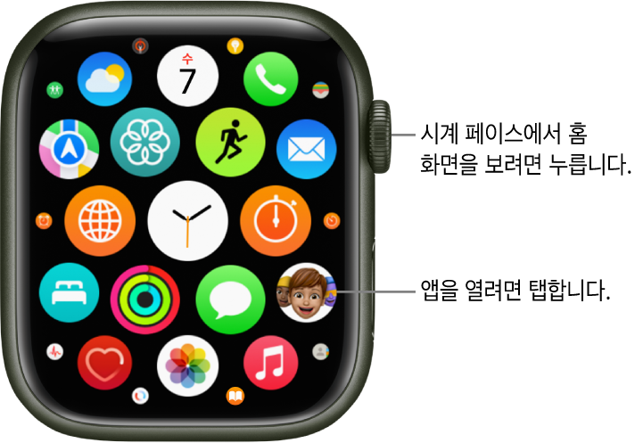 Apple Watch의 홈 화면에 앱이 격자 보기로 밀집되어 있음. 앱을 열려면 탭함. 더 많은 앱을 보려면 드래그함.