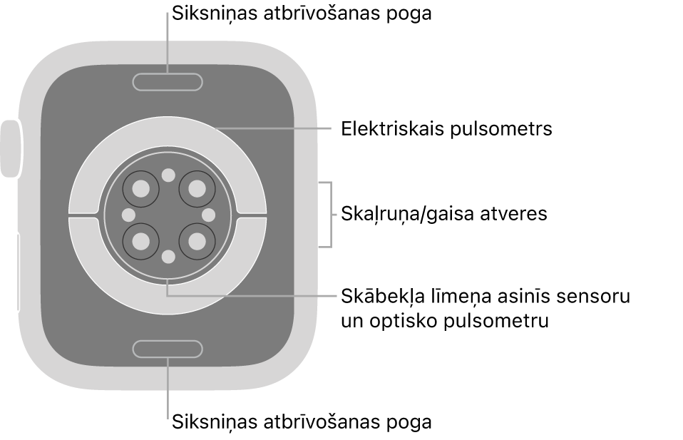 Apple Watch Series 6 pulksteņa aizmugure ar siksniņas atbrīvošanas pogām augšā un apakšā, elektrisko pulsometru, optisko pulsometru un skābekļa līmeņa asinīs sensoru vidū un skaļruņa/gaisa atverēm sānā.