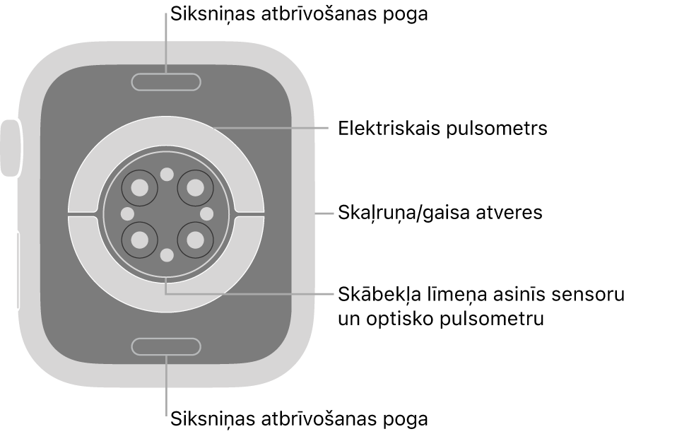 Apple Watch Series 8 pulksteņa aizmugure ar siksniņas atbrīvošanas pogām augšā un apakšā, elektrisko pulsometru, optisko pulsometru un skābekļa līmeņa asinīs sensoru vidū un skaļruņa/gaisa atverēm sānā.