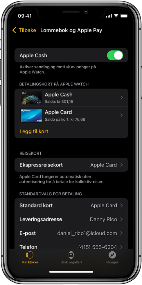 Lommebok og Apple Pay-skjermen i Apple Watch-appen på iPhone. Skjermen viser kort som er lagt til på Apple Watch, kortet du har valgt å bruke for ekspressreise, og innstillinger for standardvalg for betaling.