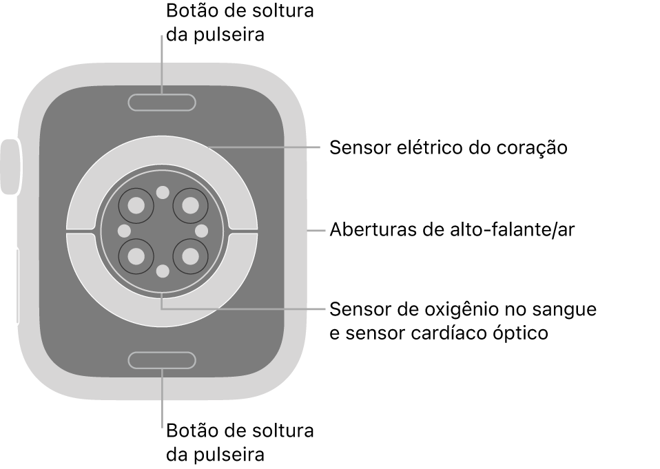 A parte traseira do Apple Watch Series 8, com os botões para soltar a pulseira na parte superior e inferior, os sensores elétricos cardíacos, os sensores ópticos cardíacos e os sensores de oxigênio no sangue no meio e alto-falante/saídas de ar na lateral.