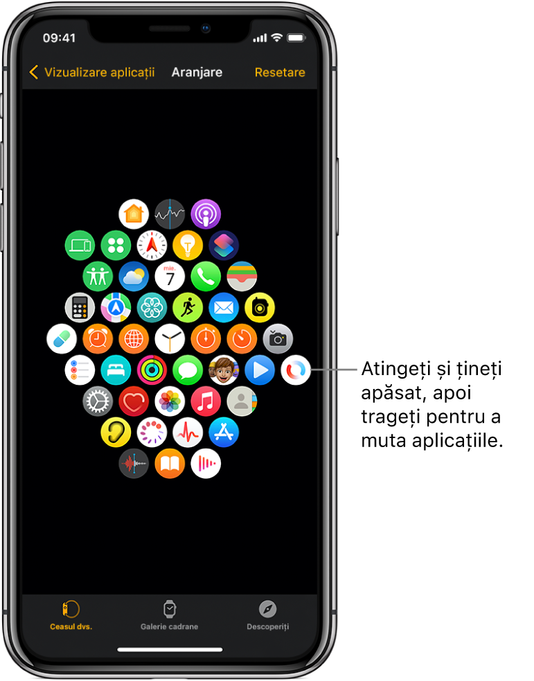 Ecranul Aranjare în aplicația Apple Watch, afișând o grilă de pictograme.