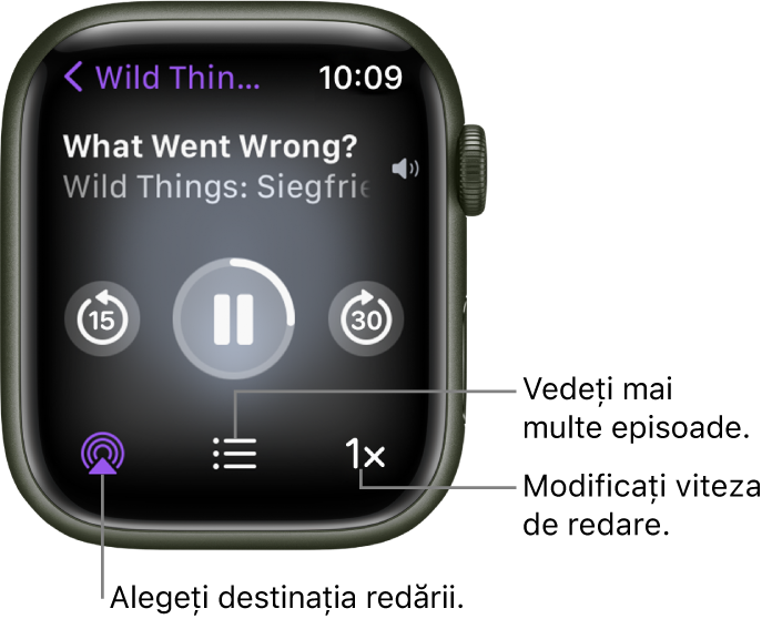 Un ecran Podcasturi În redare prezentând titlul emisiunii, titlul episodului, data, butonul Salt înapoi 15 secunde, butonul de suspendare, butonul Salt înainte 30 secunde, butonul AirPlay, butonul de episoade și butonul Viteză de redare.