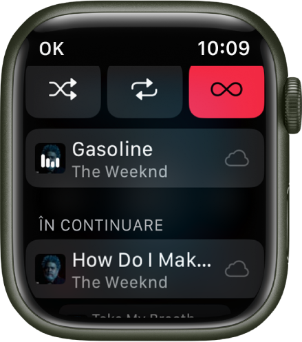 Fereastra listei de piste, afișând butoanele Aleatoriu, Repetare și Auto-redare în partea de sus și o pistă imediat dedesubt. În apropierea părții de jos, o altă pistă apare sub În continuare. Un buton OK este în colțul din stânga sus.