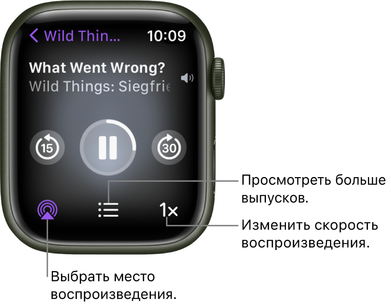 Экран «Исполняется» для подкаста. Указано название передачи, название выпуска, дата, кнопка для перехода на 15 секунд назад, кнопка паузы, кнопка для перехода на 30 секунд вперед, кнопка AirPlay, кнопка выбора выпуска и кнопка скорости воспроизведения.