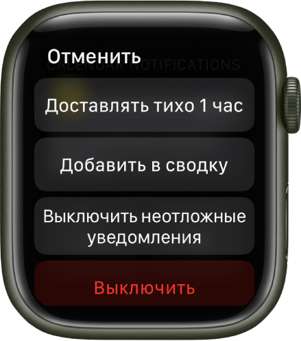 Настройки уведомлений на Apple Watch. На верхней кнопке написано «Доставлять тихо 1 час». Ниже находятся кнопки «Добавить в сводку», «Выключить неотложные уведомления» и «Выключить».