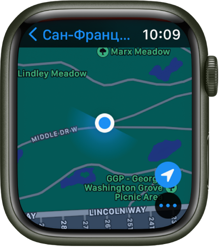 В приложении «Карты» показана карта. Ваше местоположение отмечено синей точкой на карте.