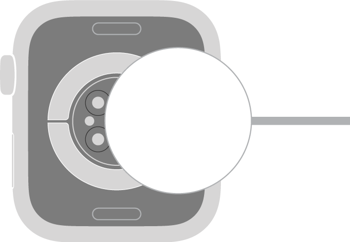 Вогнутая сторона магнитного крепления на конце кабеля USB‑C с магнитным креплением для быстрой зарядки Apple Watch прикрепляется к оборотной стороне Apple Watch с помощью магнитов.