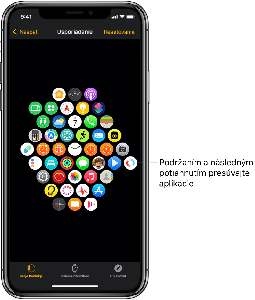 Obrazovka Rozloženie v apke pre Apple Watch zobrazujúca ikony zoradené v mriežke.
