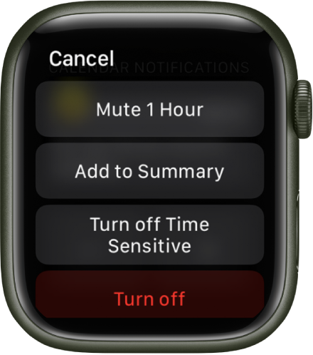 Nastavitve obvestil v uri Apple Watch. Na zgornjem gumbu je prikazano »Mute 1 Hour« (Utišaj za 1 uro). Spodaj so gumbi za Add to Summary (Dodaj v povzetek), Turn off Time Sensitive (Izklopi časovno občutljivo) in Turn Off (Izklopi)