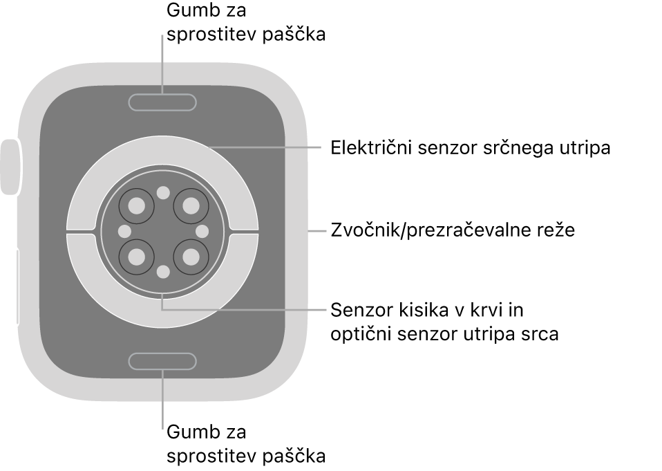 Zadnji del ure Apple Watch Series 8 z gumboma za sprostitev paščka zgoraj in spodaj, električnim senzorjem srčnega utripa, optičnimi senzorji srčnega utripa in senzorji kisika v krvi v sredini ter zvočnikom/zračniki na strani.