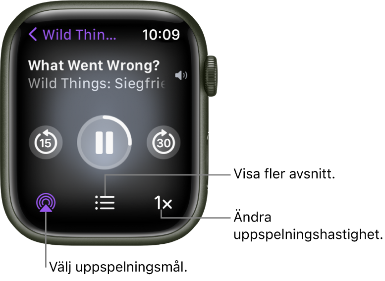 Skärmen Spelas nu i Podcaster som visar programmets namn, avsnittets namn, datumet, knapp för att hoppa bakåt 15 sekunder, pausknapp, knapp för att hoppa framåt 30 sekunder, AirPlay-knapp, avsnittsknapp och knapp för uppspelningshastighet.