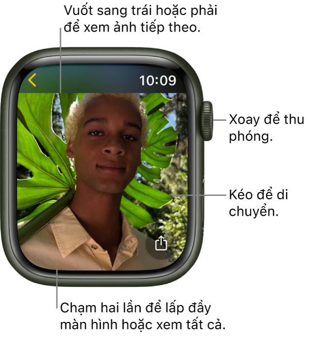 Xem ảnh và kỷ niệm ảnh trên Apple Watch