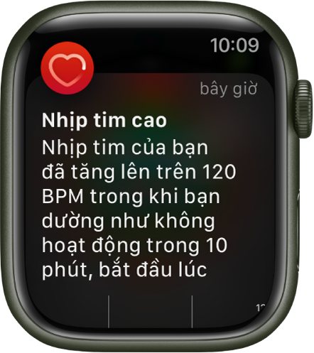 Theo dõi thông tin sức khỏe quan trọng với Apple Watch