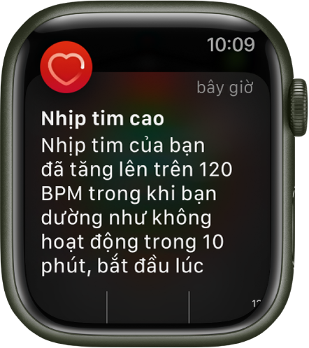 Màn hình Nhịp tim cao đang hiển thị một thông báo rằng nhịp tim của bạn đã tăng lên trên 120 BPM (nhịp/phút) trong khi bạn không hoạt động trong vòng 10 phút.