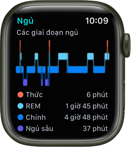 Ứng dụng Ngủ đang hiển thị thời gian ước tính khi thức cũng như trong các giai đoạn ngủ REM, Chính và Sâu.