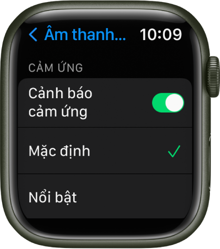 Cài đặt Âm thanh & Cảm ứng trên Apple Watch, với công tắc Cảnh báo cảm ứng và các tùy chọn Mặc định và Nổi bật ở bên dưới.