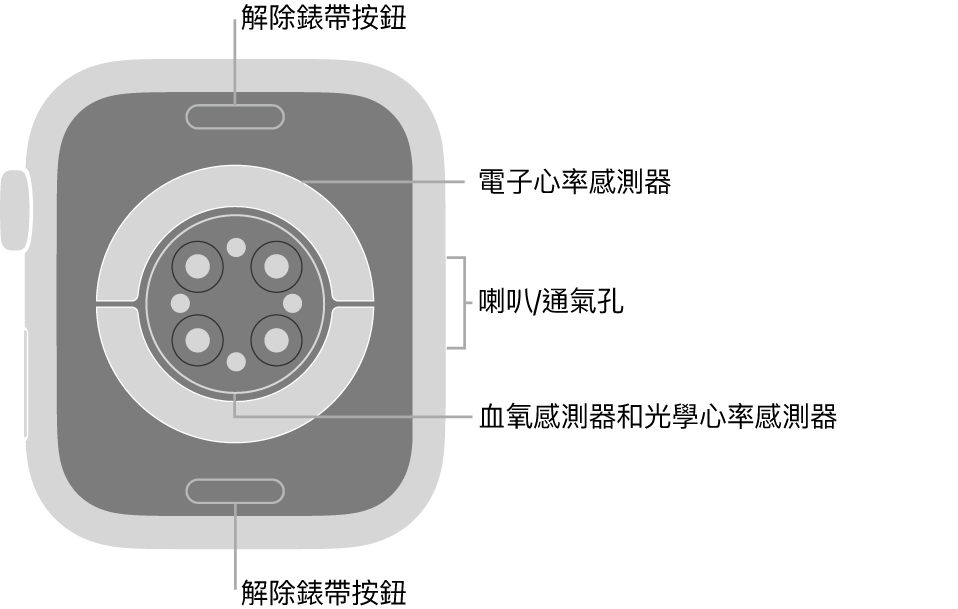 Apple Watch Series 6 的背面，在頂部和底部的解除錶帶按鈕，中間的電子心率感測器、光學心率感測器和血氧感測器，以及側邊的喇叭/通氣孔。