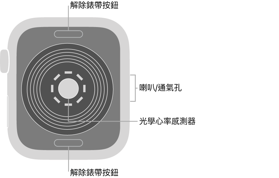 Apple Watch SE 的背面，在頂部和底部的解除錶帶按鈕，中間的光學心率感測器，以及側邊的喇叭/通氣孔。