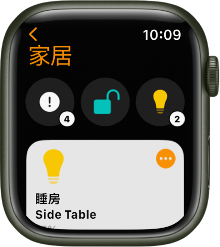 「家居」App 的最上方顯示狀態圖像，下方則顯示配件。