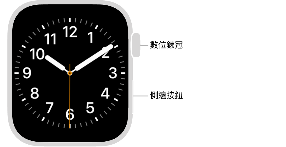 Apple Watch 的正面，手錶的右側最上方顯示數位錶冠，右下角顯示側邊按鈕。