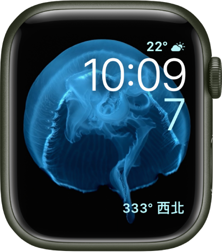 「動態」錶面顯示水母。你可以選擇要讓哪些物件動態顯示並加入一些複雜功能。右上角為「天氣狀況」，下方顯示時間和日期，底部為「指南針」複雜功能。
