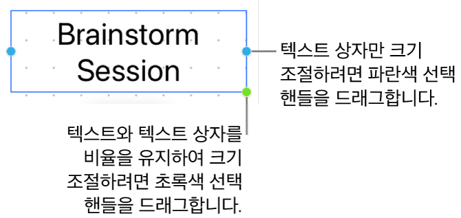 파란색 선택 핸들(텍스트 상자의 크기 조절만 허용) 및 초록색 선택 핸들(비율을 유지하여 텍스트 및 텍스트 상자의 크기 조절)을 보여주는 선택된 텍스트 상자.