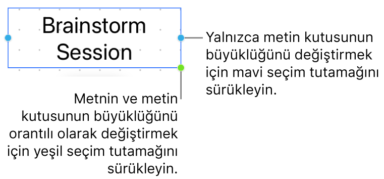 Mavi seçim tutamağını (yalnızca metin kutusunun büyüklüğünü değiştirmenize izin verir) ve yeşil seçim tutamağını (metnin ve metin kutusunun büyüklüklerini orantılı olarak değiştirir) gösteren seçili bir metin kutusu.