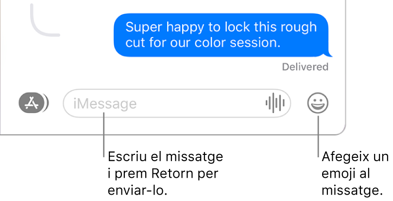 Conversa a la finestra de l’app Missatges, amb el camp del missatge a la part inferior.