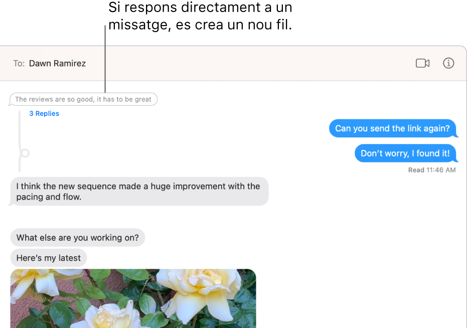 La finestra de l’app Missatges mostrant una conversa amb un fil nou a sota d’un missatge específic.