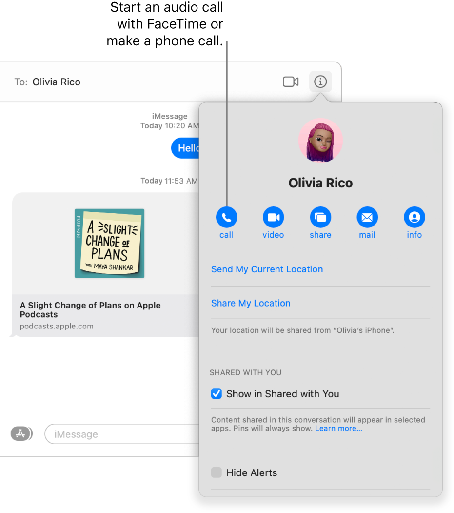 Details view, which appears after you click the Details button in a conversation. Use the call button on the left to start an audio call with FaceTime or make a phone call.