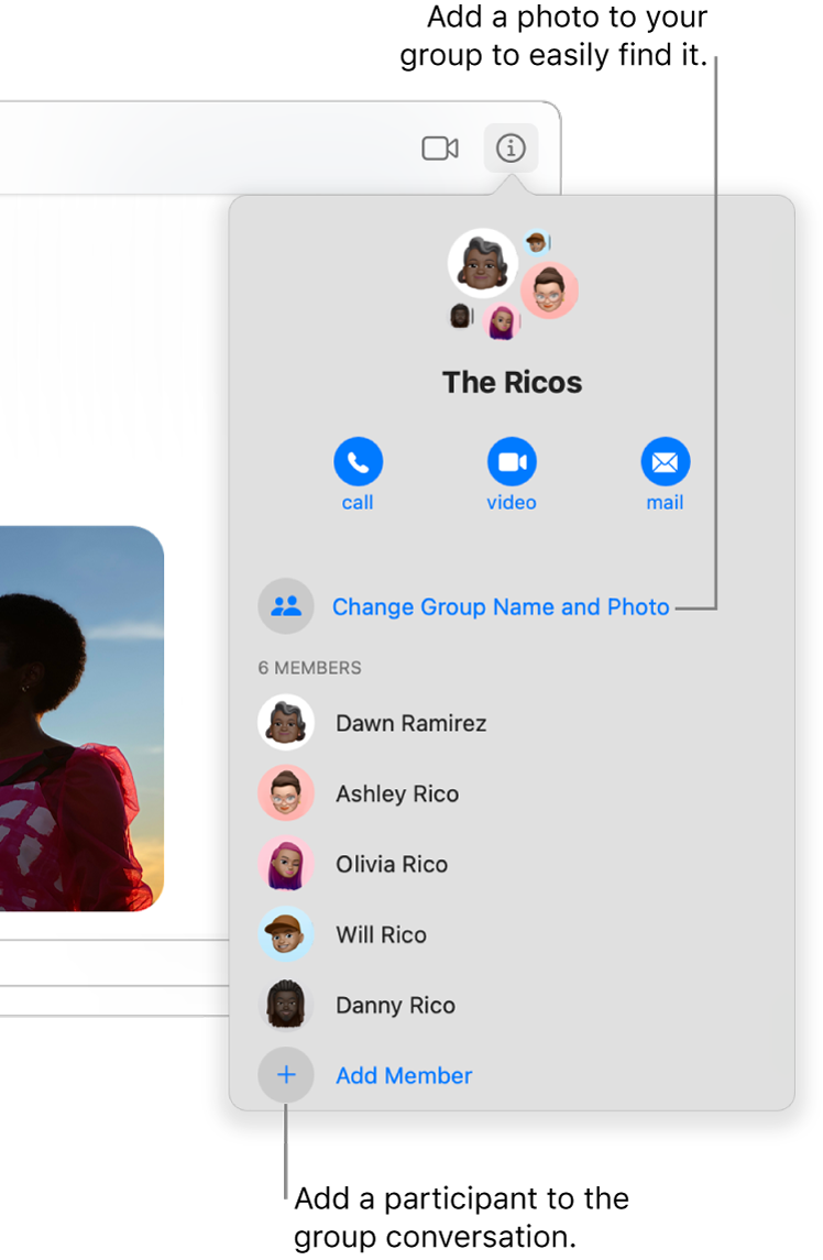 Details view, which appears after you click the Details button in a group conversation. Add Member appears below the name of the last participant in the list. You can change the group name and photo just above the names of the participants.