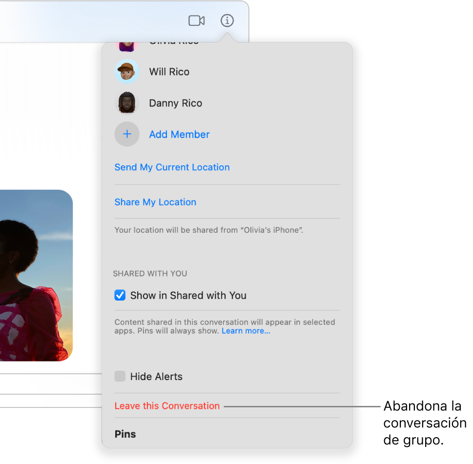 Vista de Detalles, que aparece después de hacer clic en el botón Detalles en una conversación grupal. La opción Dejar conversación está cerca de la parte inferior del cuadro de diálogo.