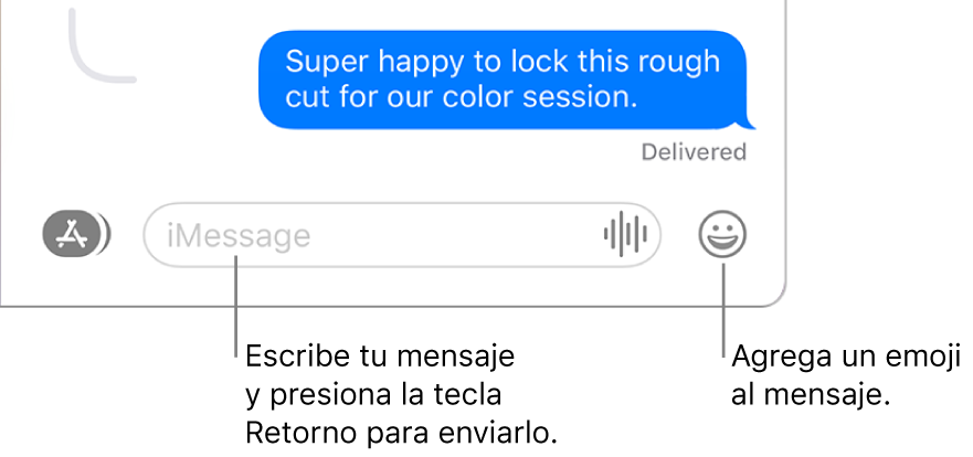 Una conversación en la ventana de Mensajes con el campo de mensaje situado en la parte inferior de la ventana.