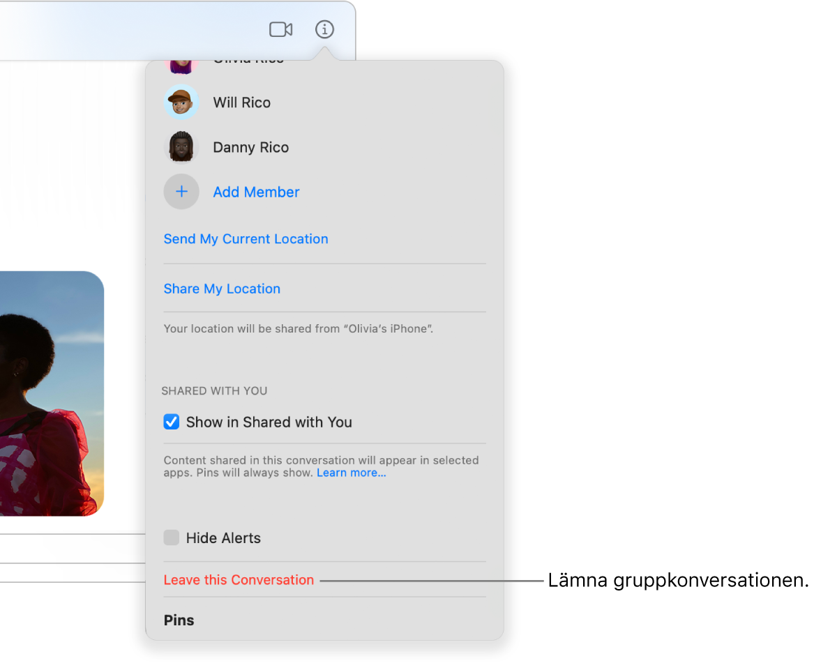 Fönstret Detaljer som visas när du har klickat på detaljknappen i en gruppkonversation. Lämna konversationen finns nära nedre kanten av dialogrutan.