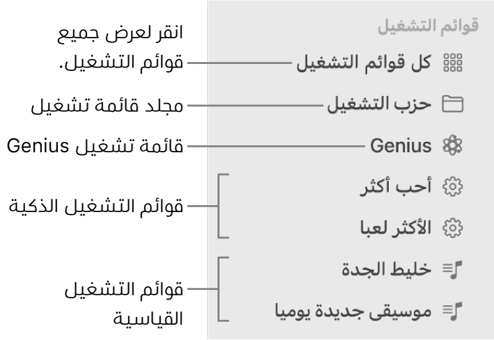 الشريط الجانبي للموسيقى أنواعًا مختلفة من قوائم التشغيل: قائمة تشغيل Genius وقائمة التشغيل الذكية وقائمة التشغيل القياسية. انقر على كل قوائم التشغيل لعرضها جميعًا.