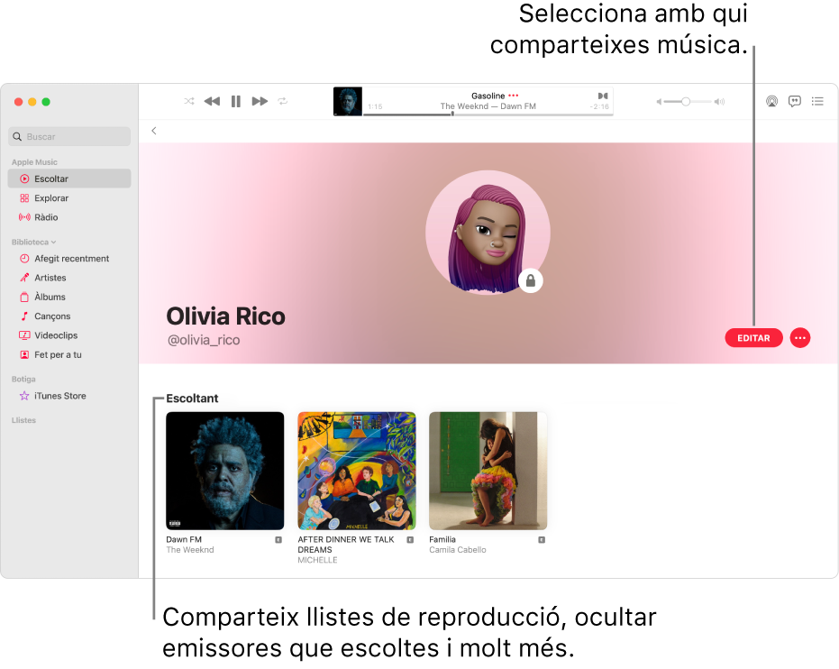 La pàgina de perfil de l’Apple Music: a la dreta de la finestra, fes clic a Editar per seleccionar qui et pot seguir. A la dreta d’Editar, fes clic al botó Més per compartir la teva música.