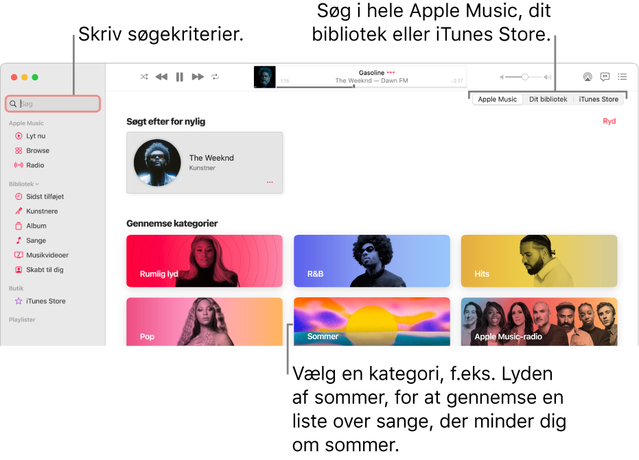 Vinduet Apple Music viser søgefeltet i øverste venstre hjørne, listen med kategorier i midten af vinduet og Apple Music, Dit bibliotek og iTunes Store, der er tilgængelige i øverste højre hjørne. Skriv søgekriterier i søgefeltet, og vælg derefter, om du vil søge i hele Apple Music, kun dit bibliotek eller i iTunes Store.