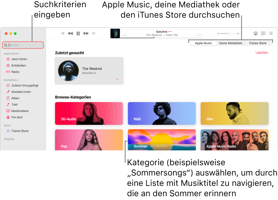 Das Apple Music-Fenster mit dem Suchfeld oben links, der Kategorienliste in der Fenstermitte und den Optionen „Apple Music“, „Deine Mediathek“ und „iTunes Store“ oben rechts. Gib Suchkriterien in das Suchfeld ein und wähle dann aus, ob Apple Music, nur deine Mediathek oder der iTunes Store durchsucht werden soll.