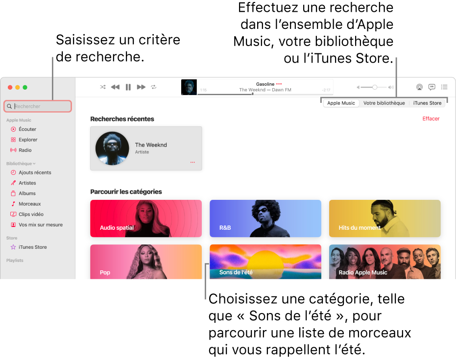 La fenêtre Apple Music, avec le champ de recherche dans le coin supérieur gauche, la liste de catégories au centre de la fenêtre et « Apple Music », « Votre bibliothèque » et l’iTunes Store disponibles dans le coin supérieur droit. Saisissez des critères de recherche dans le champ de recherche, puis choisissez d’effectuer la recherche dans tout Apple Music, seulement dans votre bibliothèque ou sur l’iTunes Store.