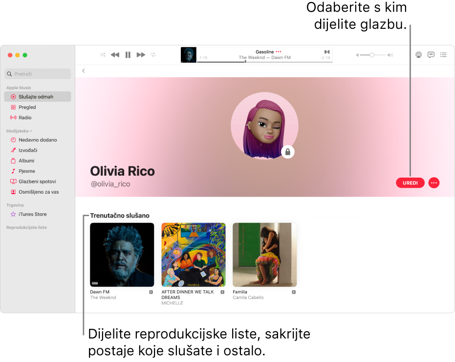 Stranica profila na usluzi Apple Music: s desne strane prozora kliknite Uredi da biste odabrali tko vas može pratiti. S desne strane tipke Uredi, kliknite na tipku Više za dijeljenje svoje glazbe.