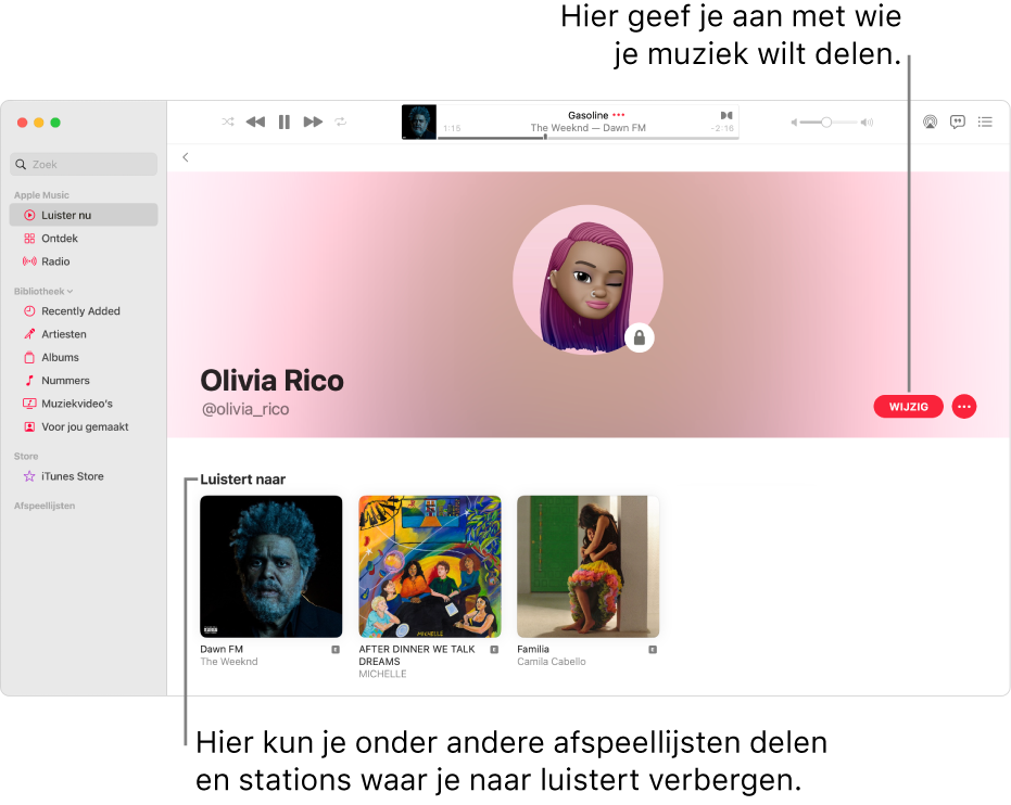 De profielpagina in Apple Music: klik rechts in het venster op 'Bewerk' om aan te geven wie je kan volgen. Klik rechts naast 'Bewerk' op de knop 'Meer' als je je muziek wilt delen.