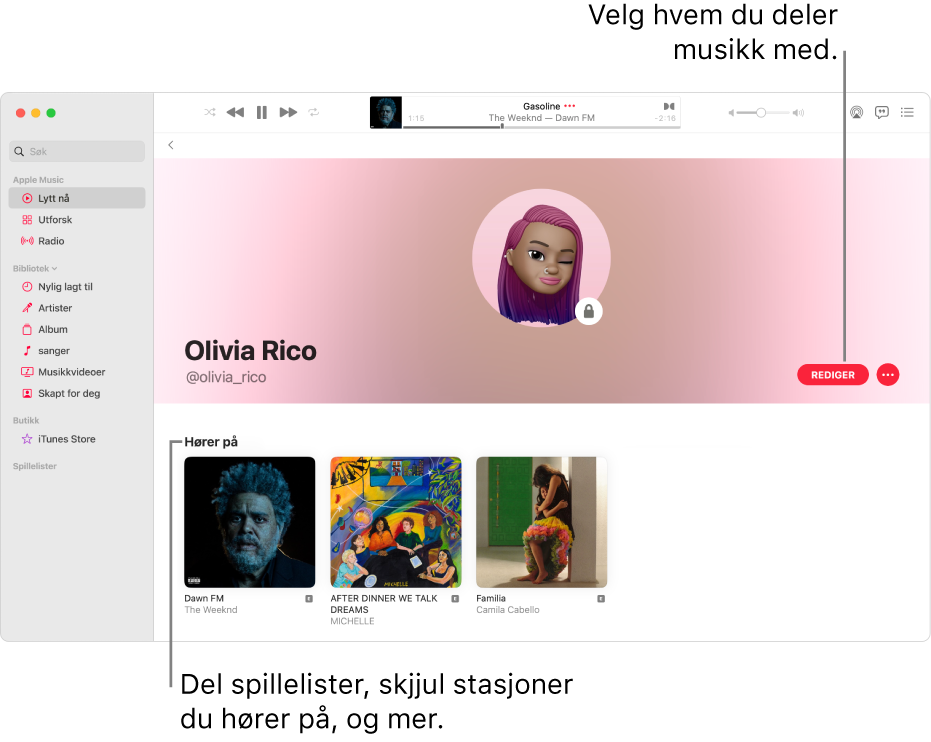 Profilsiden i Apple Music: Klikk på Rediger på høyre side i vinduet for å angi hvem som kan følge deg. Klikk på Mer-knappen til høyre for Rediger for å dele musikk.