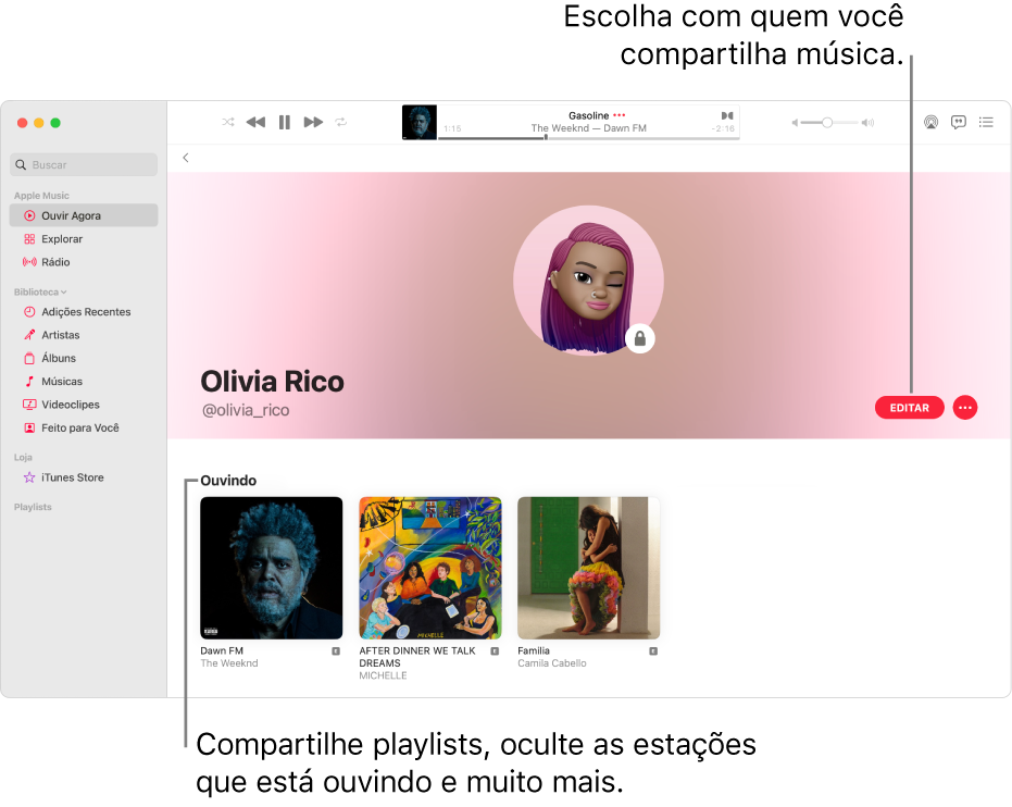 Página de perfil no Apple Music: no lado direito da janela, clique em Editar para escolher quem pode seguir você. À direita de Editar, clique no botão Mais para compartilhar a sua música.