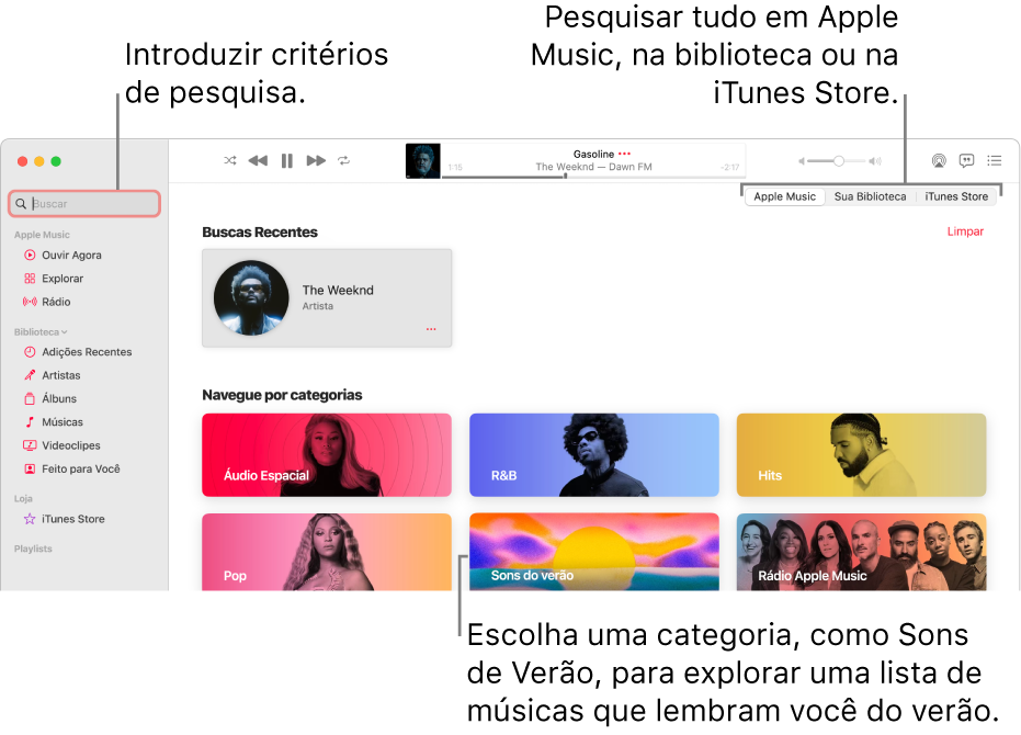 Janela do Apple Music mostrando o campo de busca no canto superior esquerdo, a lista de categorias no centro da janela e Apple Music, Sua Biblioteca e iTunes Store disponíveis no canto superior direito. Digite critérios de busca no campo de busca e opte por buscar em todo o Apple Music, apenas na biblioteca ou na iTunes Store.