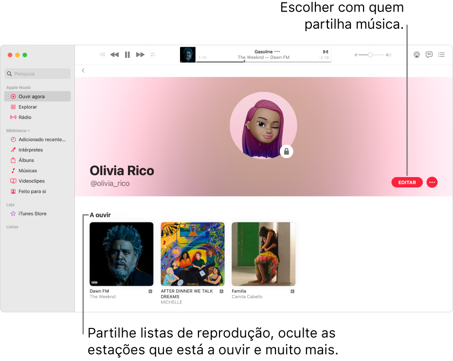 A página de perfil em Apple Music: no lado direito da janela, clique em Editar para selecionar quem o pode seguir. À direita de Edição, clique no botão Mais para partilhar a sua música.