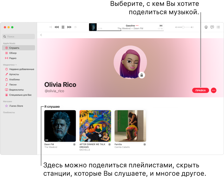 Страница профиля в Apple Music. Нажмите «Изменить» в правой части окна, чтобы выбрать, кто может отслеживать Ваши новости. Нажмите кнопку «Еще» справа от кнопки «Изменить», чтобы поделиться музыкой.