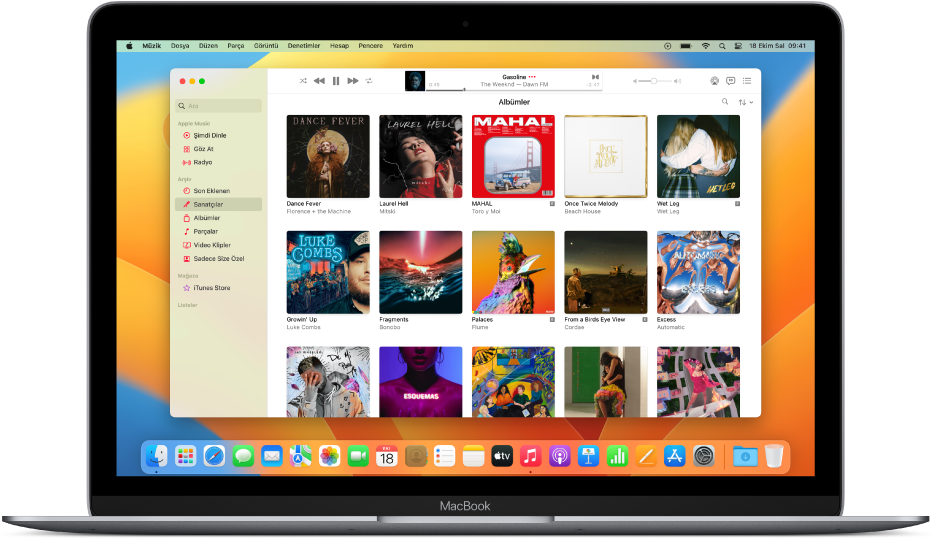 Albüm arşivi içeren Apple Music penceresi.