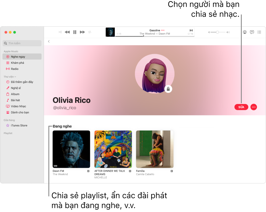 Trang trang cá nhân trên Apple Music: ở phía bên phải của cửa sổ, hãy bấm vào Sửa để chọn những người có thể theo dõi bạn. Ở bên phải của Sửa, hãy bấm vào nút Thêm để chia sẻ nhạc của bạn.